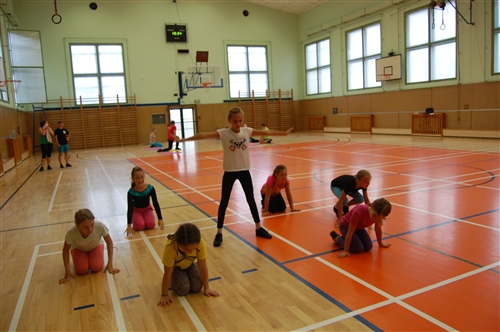 Obrázek v galerii